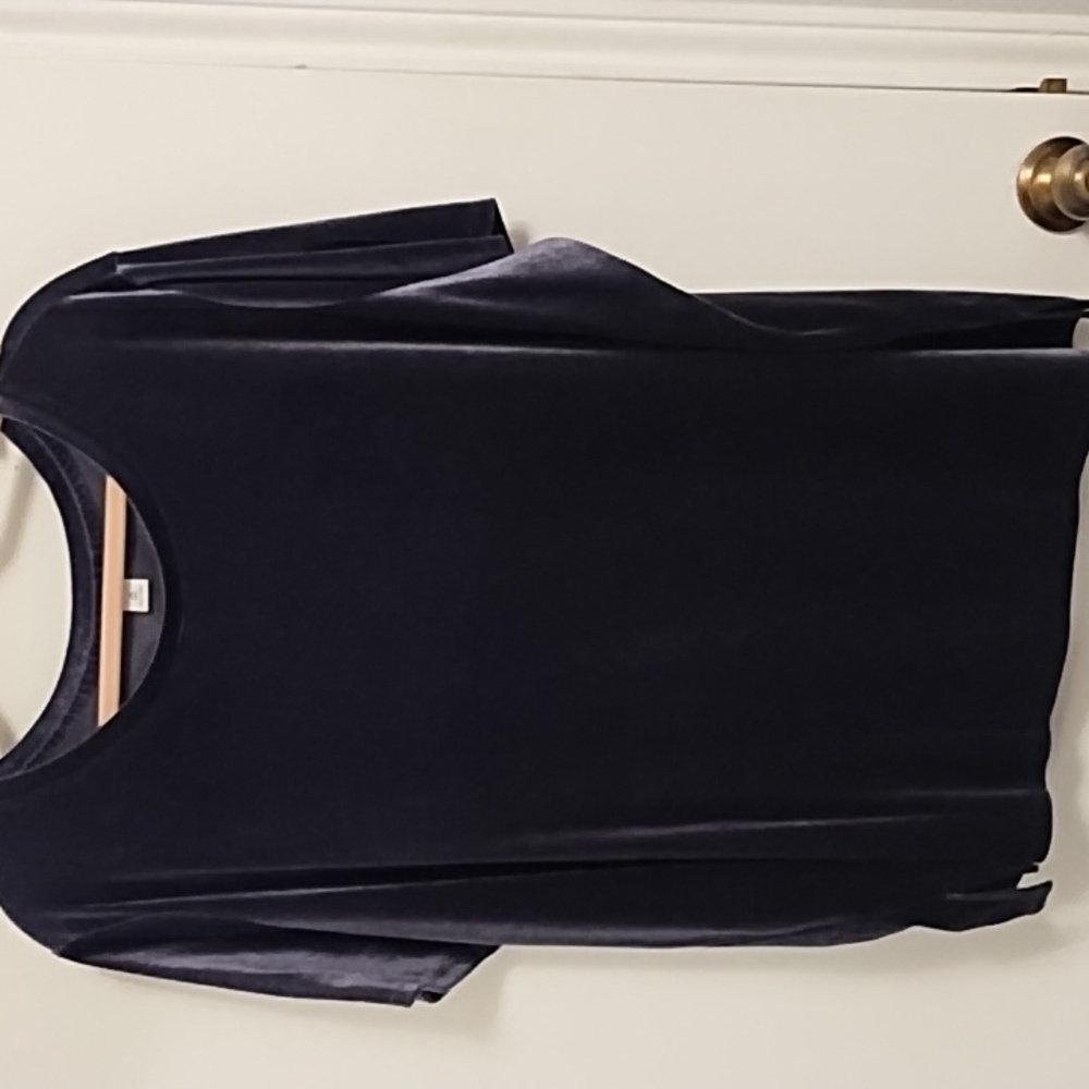 Blue velvet blouse